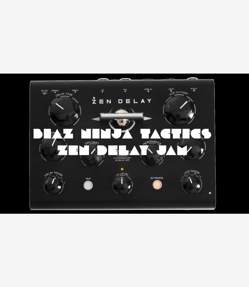 Zen Delay - Erica Synths