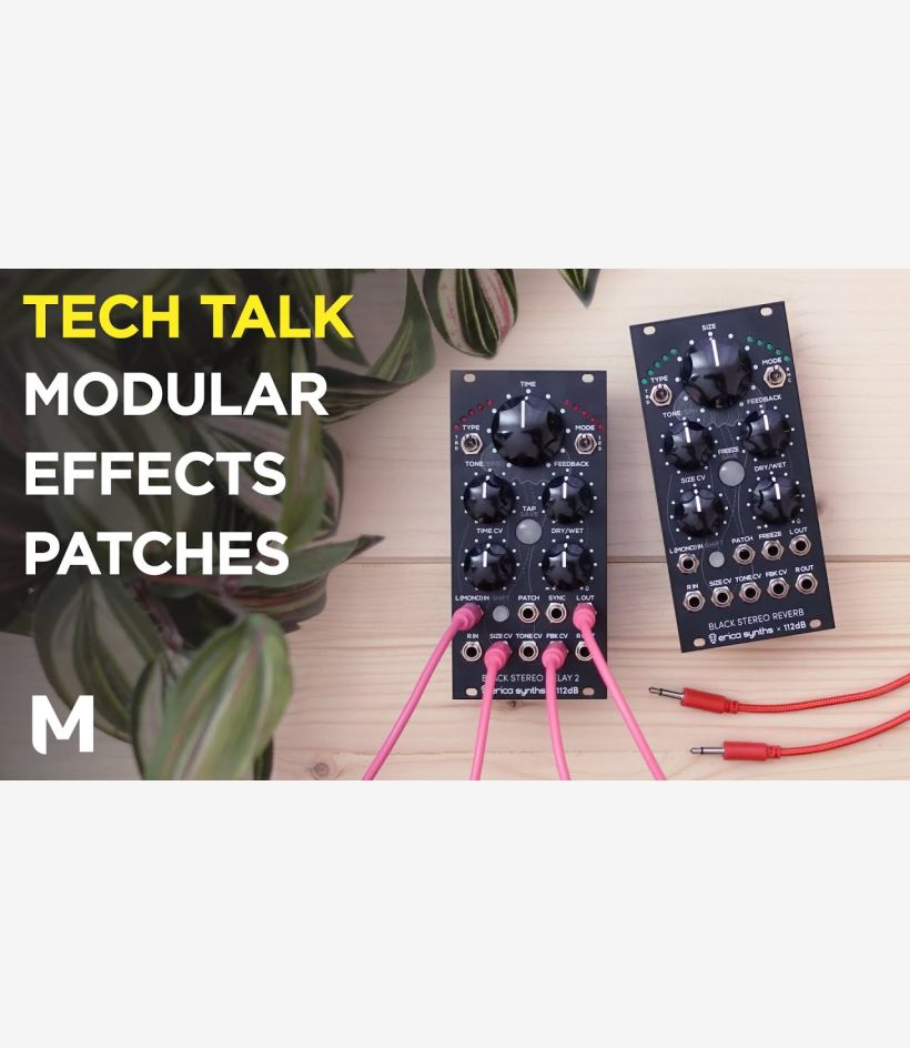 Black Stereo Delay 2 - Erica Synths
