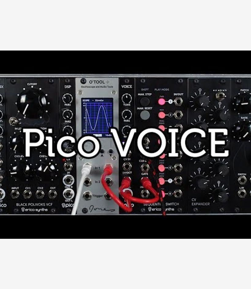 Pico Voice - Erica Synths
