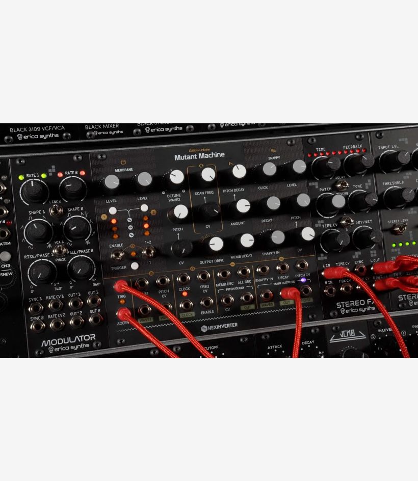 Hexinverter Mutant Machine - Erica Synths