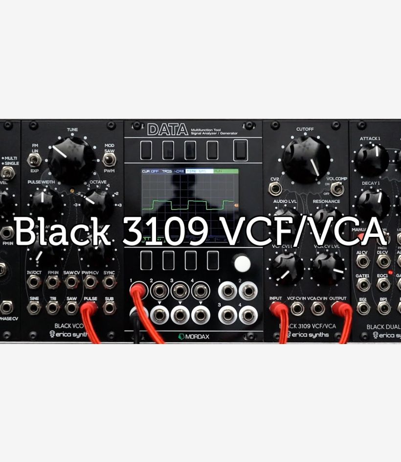 Black 3109 VCF/VCA - Erica Synths