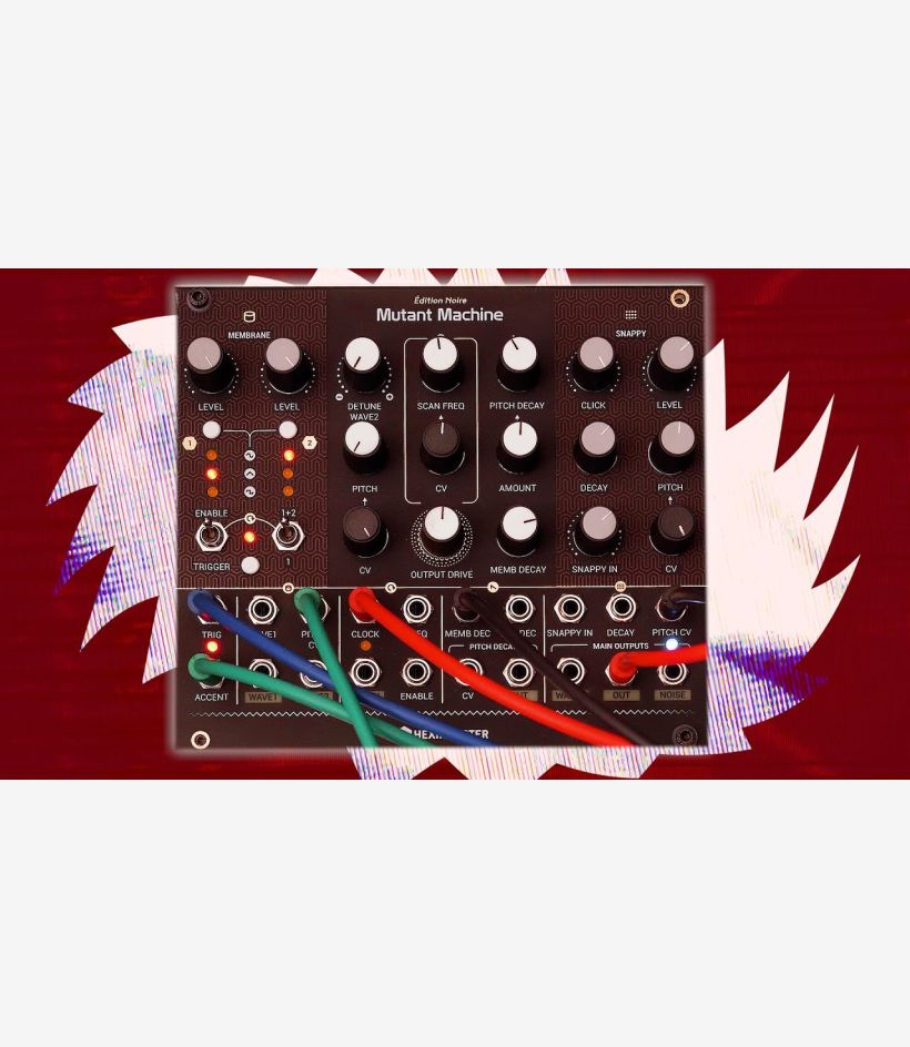 Ericat様 Hexinverter Mutant Machine - Erica Synths