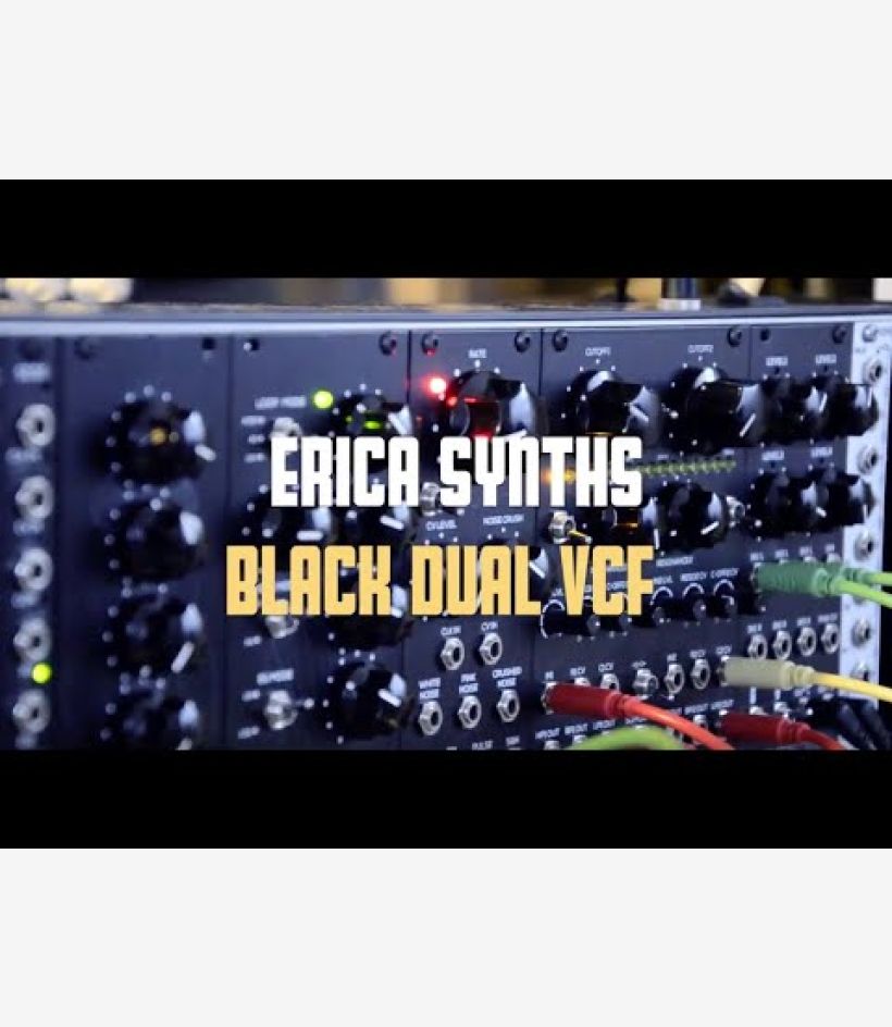 Black Hole DSP - Erica Synths