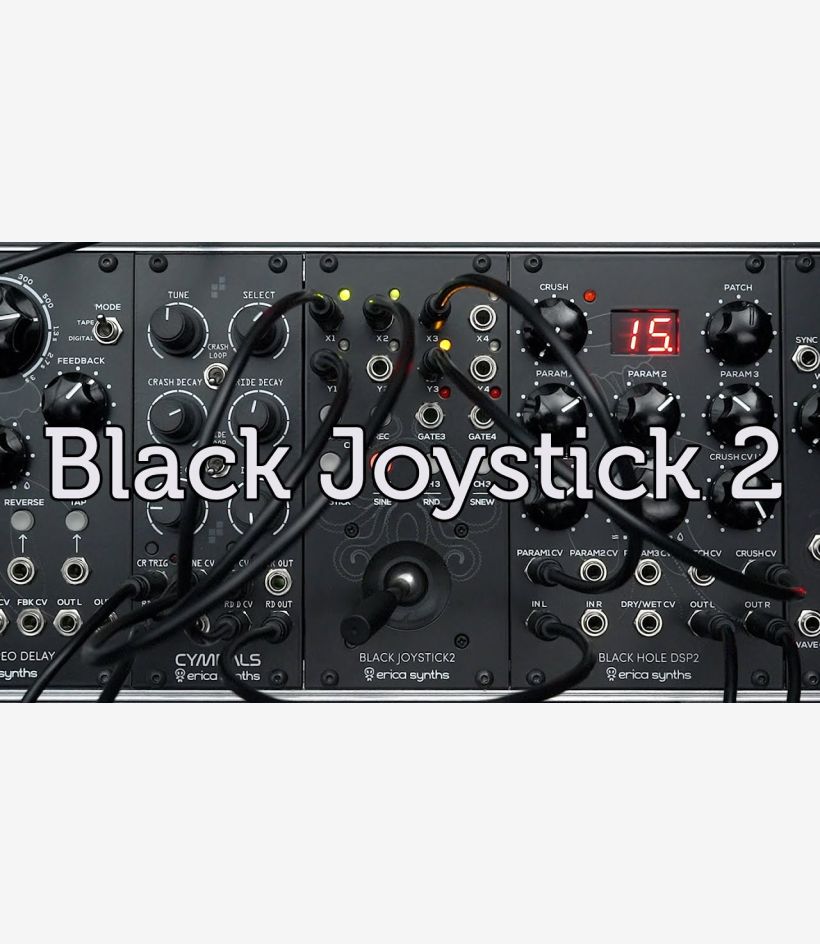 Black Joystick2 - Erica Synths