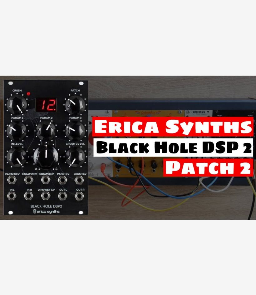 Black Hole DSP 2 - Erica Synths
