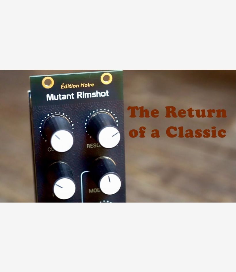 Hexinverter Mutant Rimshot - Erica Synths