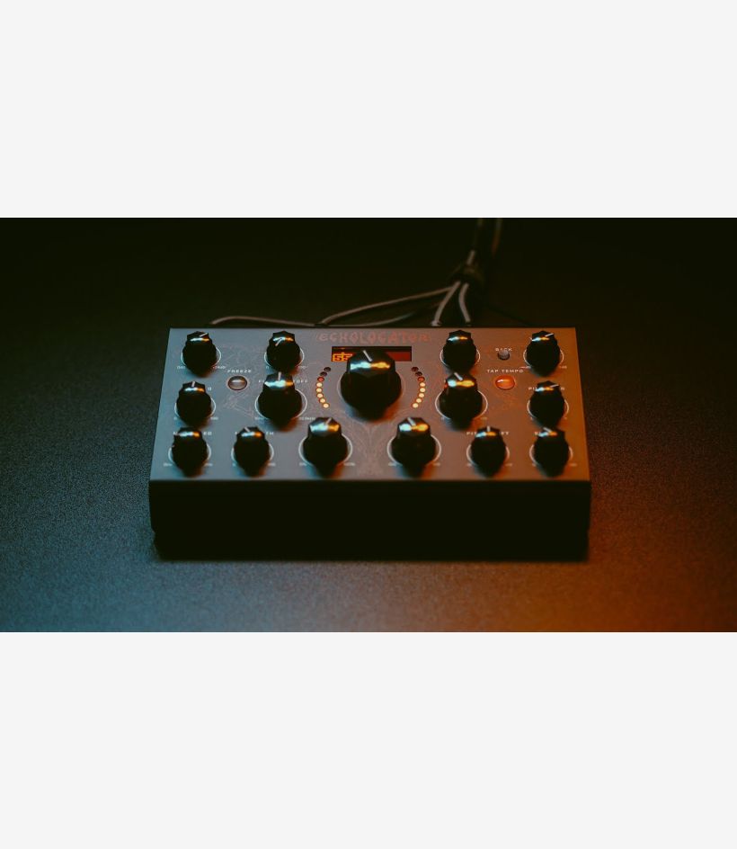 Echolocator - Erica Synths