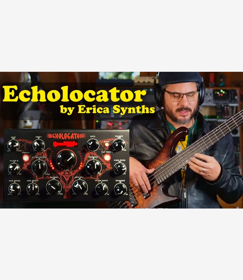 Echolocator - Erica Synths