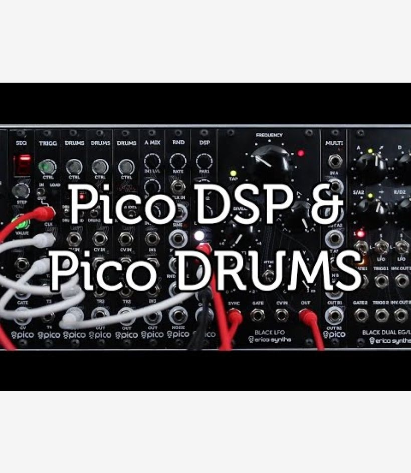Erica Synths Pico Dsp ユーロラックモジュラーシンセ Pico DSP - Erica Synths