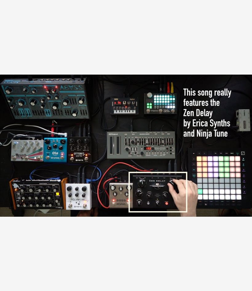 Zen Delay - Erica Synths