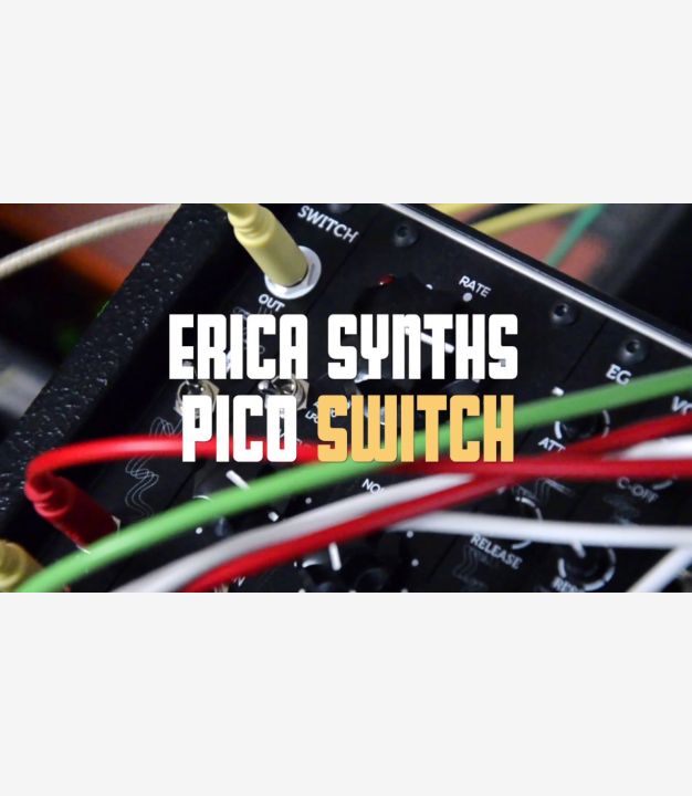 Pico Switch - Erica Synths