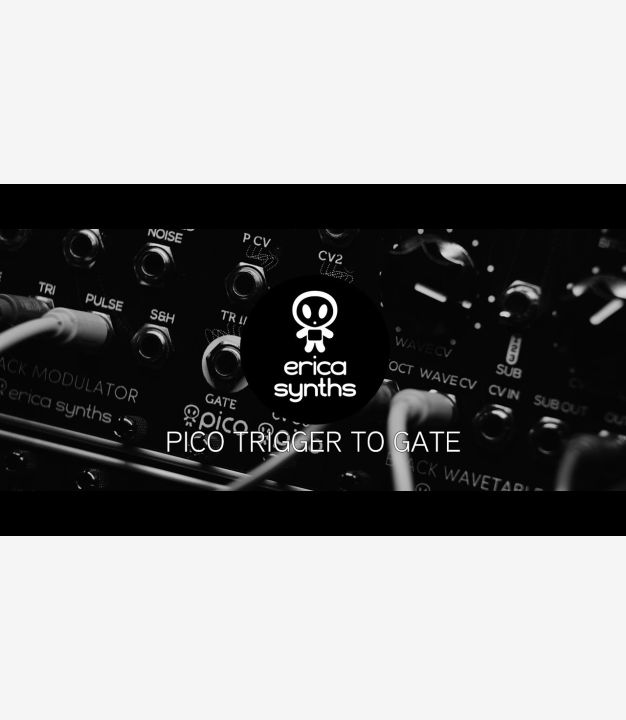 Pico T→G - Erica Synths