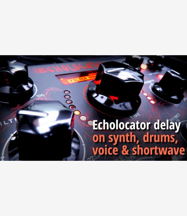 Echolocator - Erica Synths